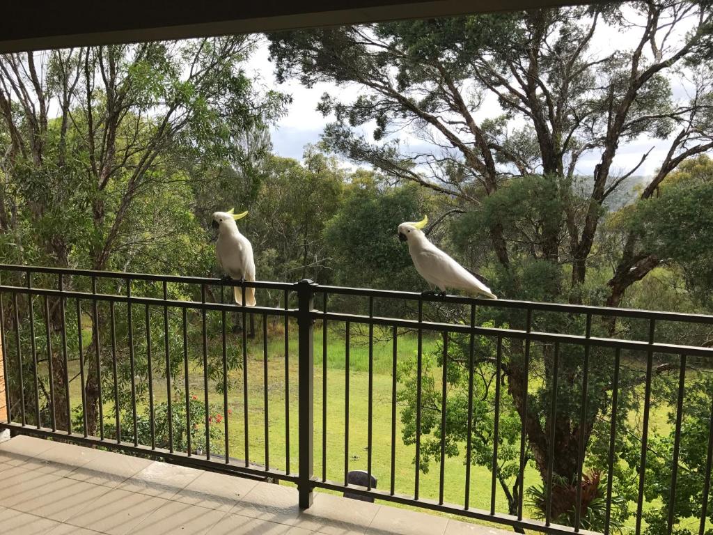 Kookaburra Retreat photo 2