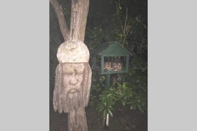 Kookaburra Retreat photo 3
