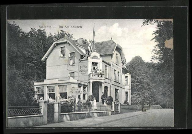 Hotel Villa im Steinbusch photo 1