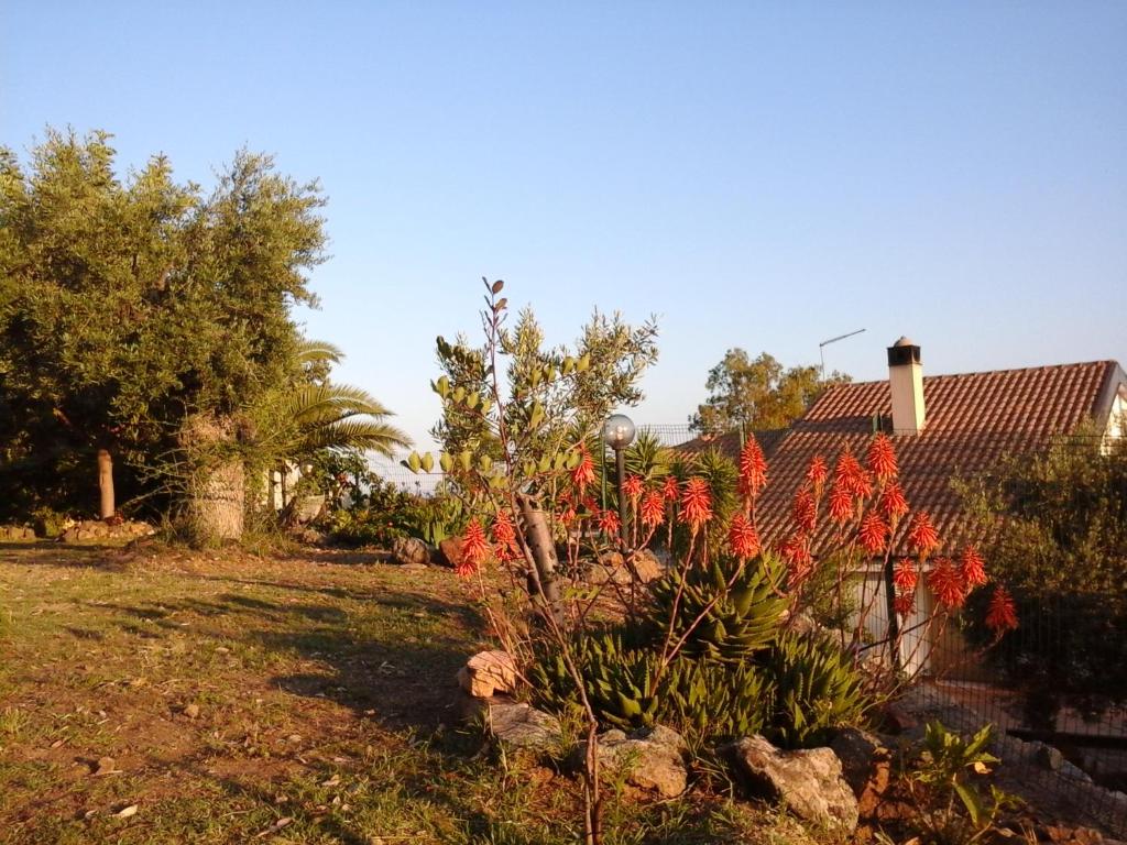 Agriturismo Chiai Francesco photo 2