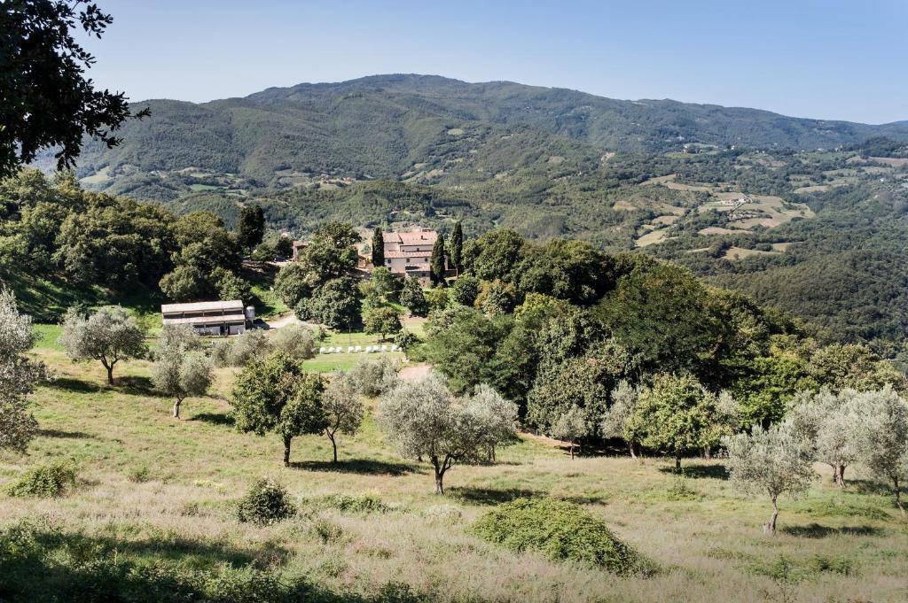Agriturismo di Baroni Enzo photo 2