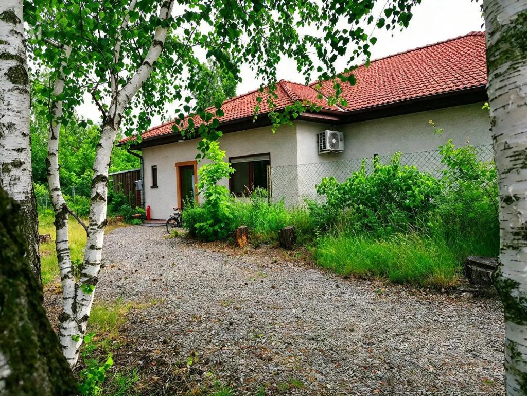 Apartment GNUBBEL am Wald, Gorlitz