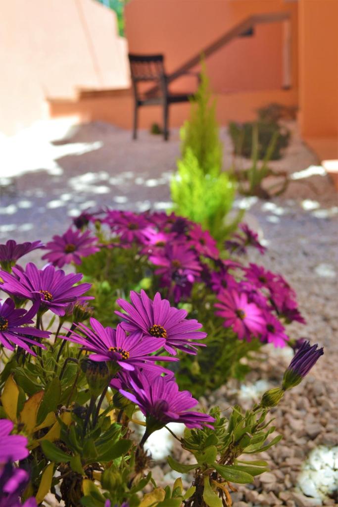 Casa Vacanze Mura photo 3