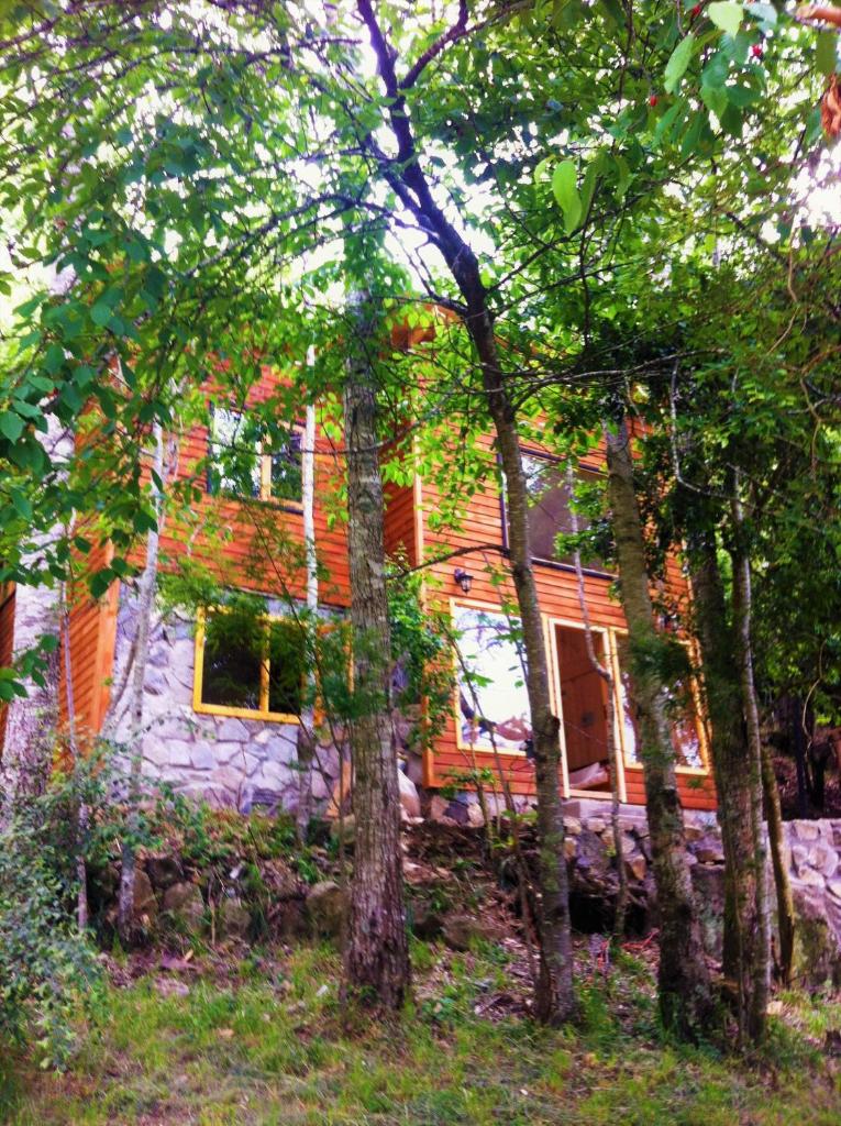 Cabañas Llifenativo photo 3
