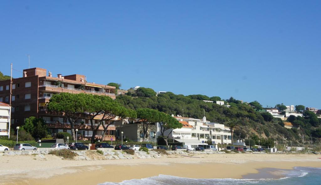 Musclera photo 1