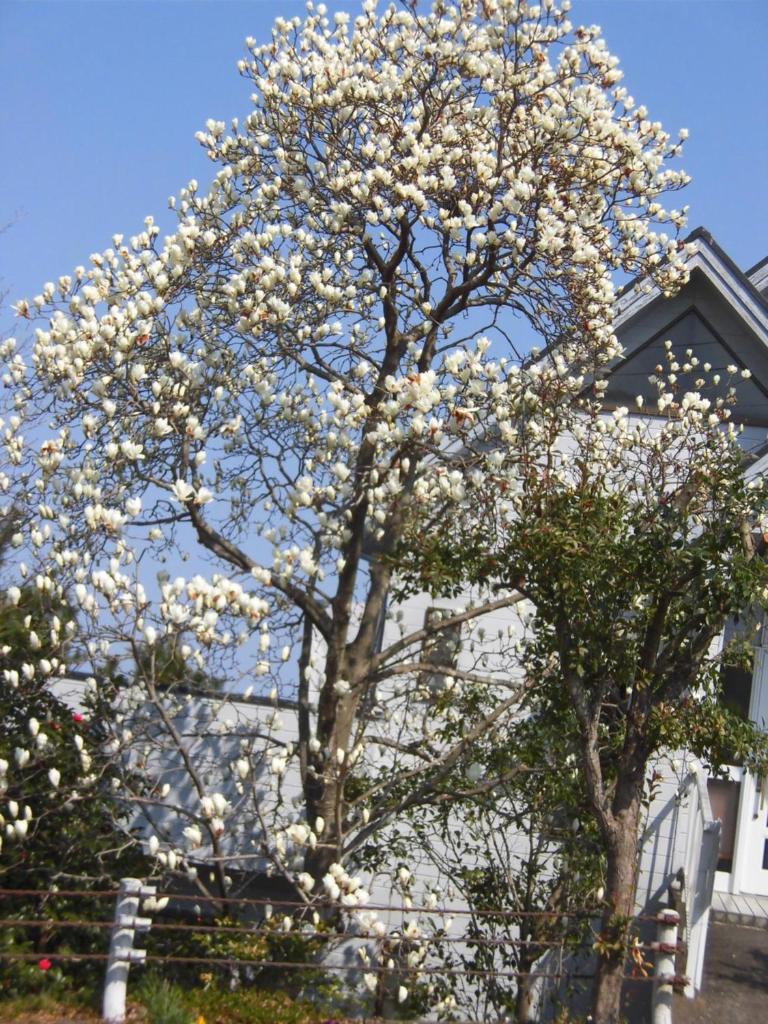 Holiday Home Apple photo 4