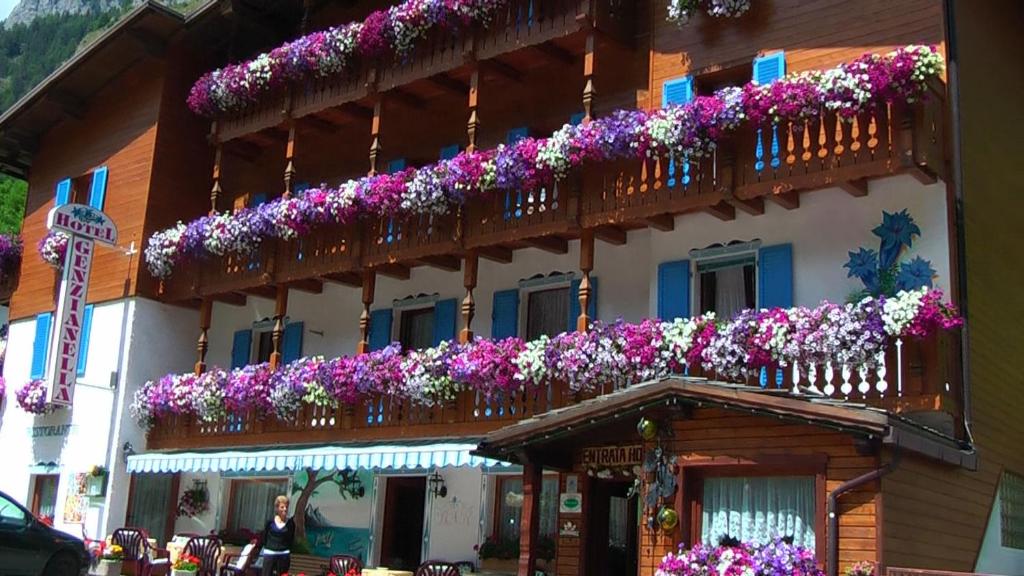 Albergo Genzianella photo 1