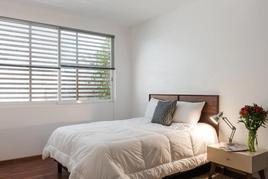 Condesa Residence Amsterdam E Cozy Living Space in the Heart of the City on Amsterdam Avenue, Mexico City