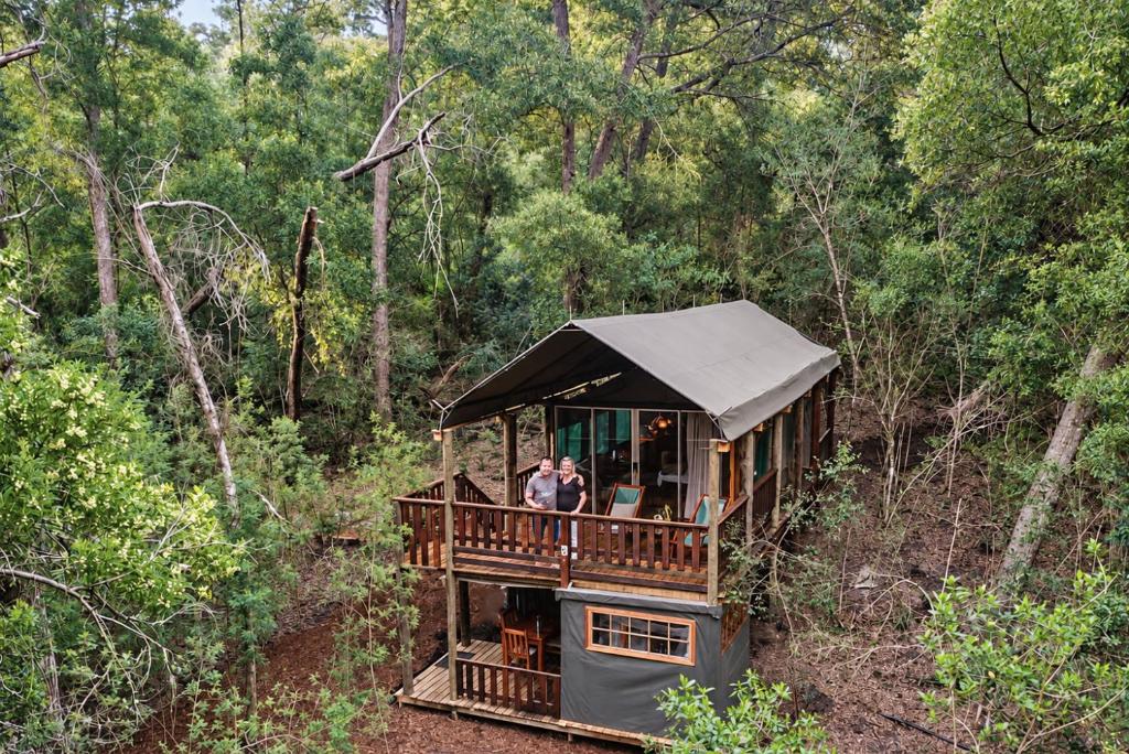 Fernhill Tented Treehouses Room Type - Safari Tent Family
