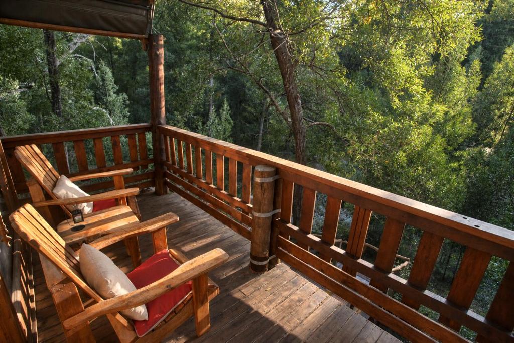 Fernhill Tented Treehouses - Tap to explore photos