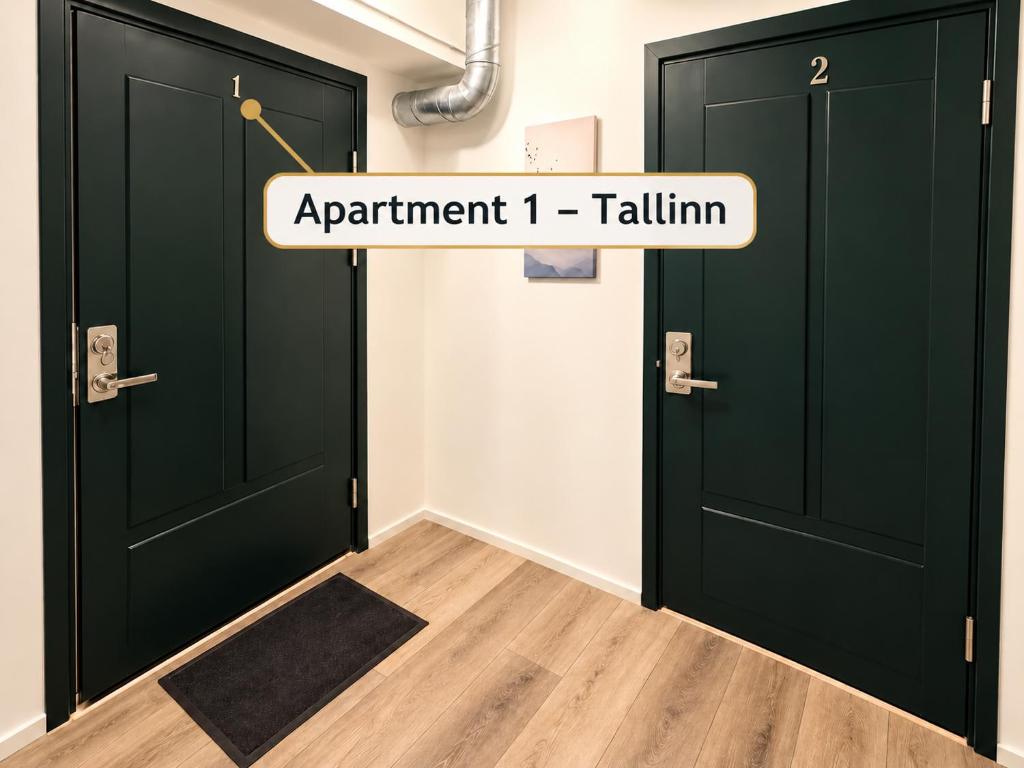 Dana-One Bedroom Apartment in Central Tallinn-1, Saku