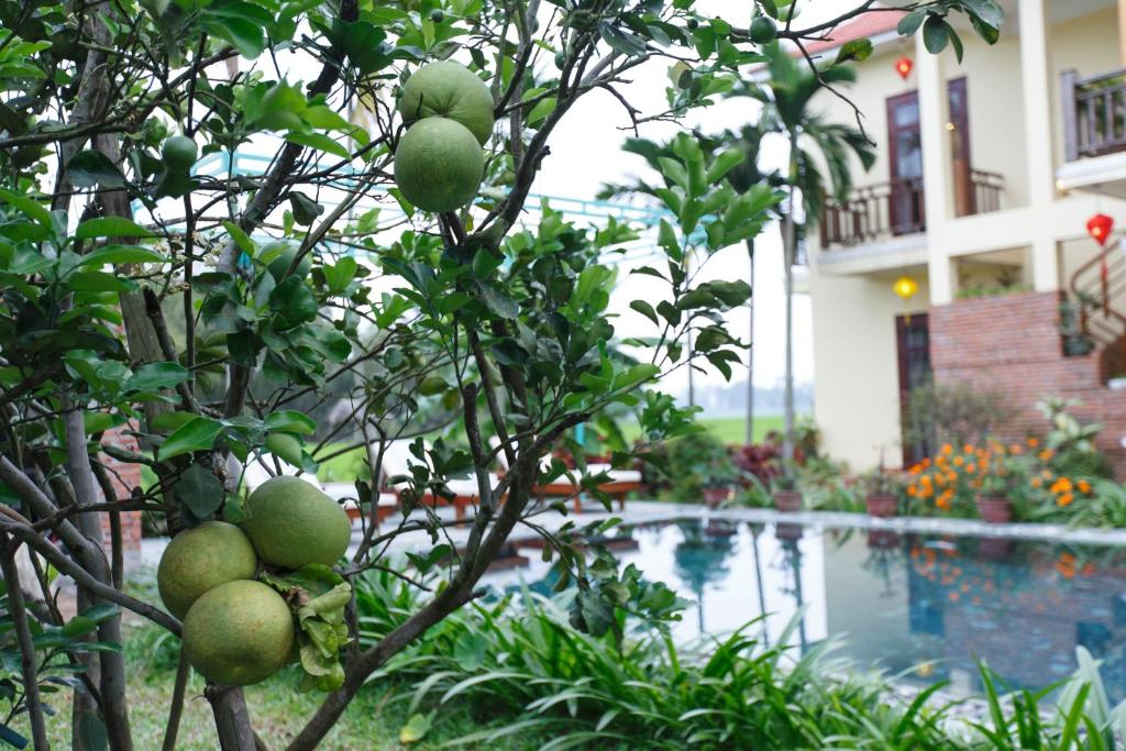 Lama Homestay - Villa Hoi An