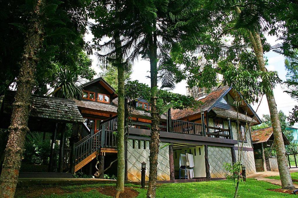 Phuingfah, Chiang Mai