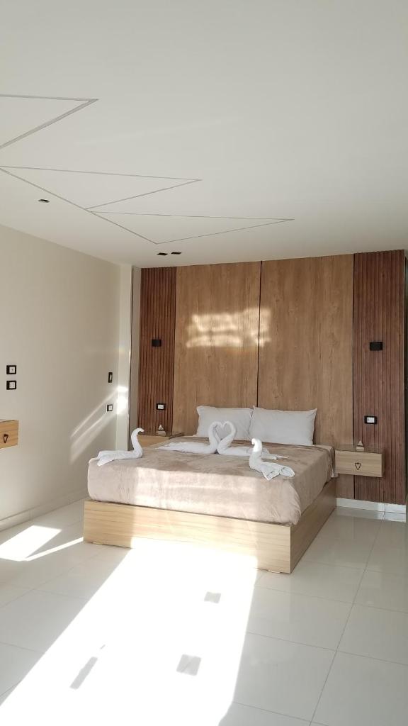 Giza Pyramids View Guest House Room Type - Studio