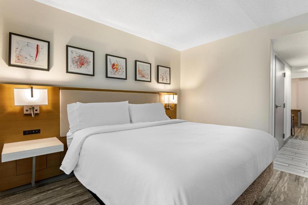 Hilton Garden Inn Atlanta Northpoint Room Type - Junior King Suite with Sofa Bed