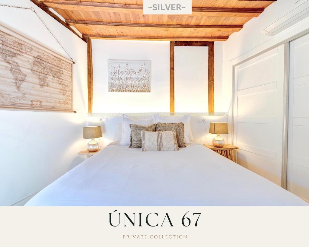 SILVER by Unica 67, pleno centro historico, Toledo
