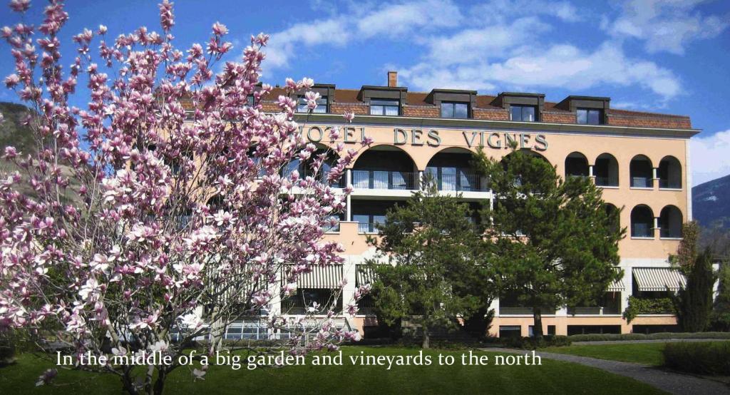 Hôtel des Vignes photo 1