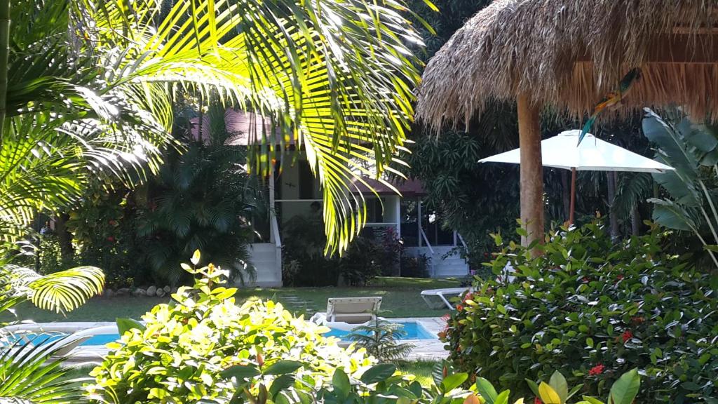 Bungalow Natura Village photo 2