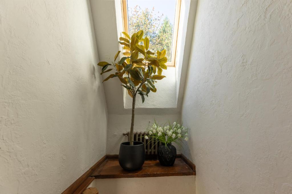 Gungas Room Type - Triple Room with Bath Gungas Room Type - Triple Room with Bath