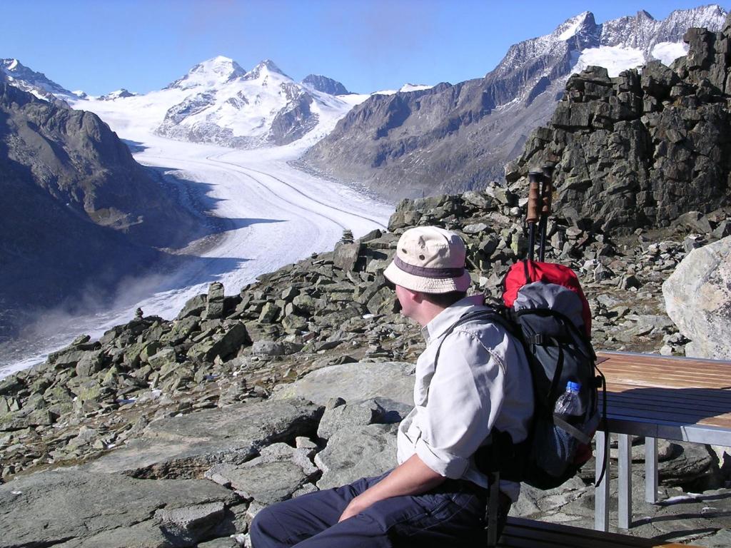 Chalet des Alpes photo 2