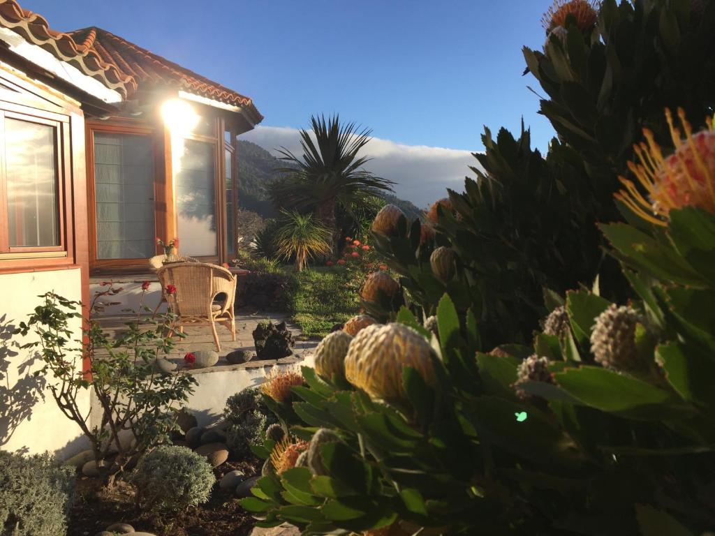 Finca Madrugada photo 4