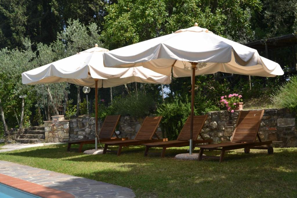Tenuta Poggio ai Mandorli photo 4