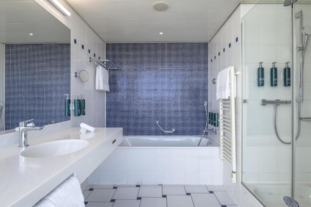 Hilton Geneva Hotel & Conference Centre Room Type - King Junior Suite with Terrace