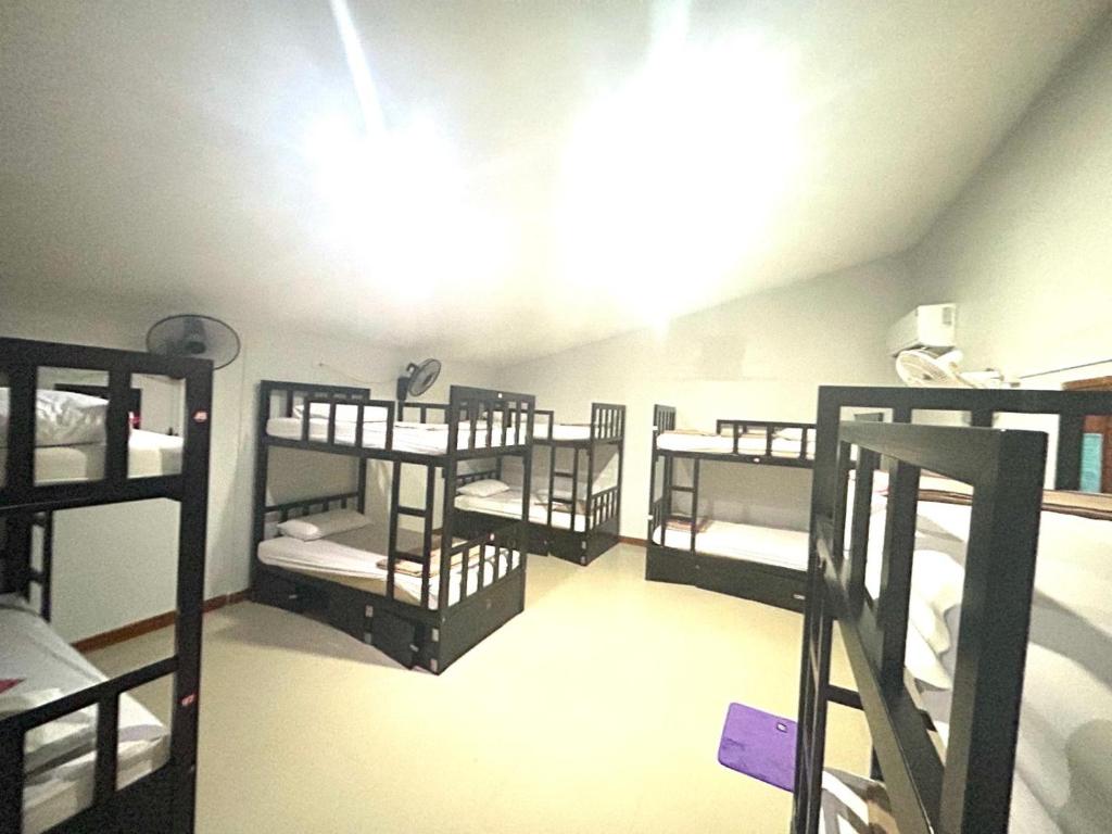 Blanco Beach Bar Hostel Room Type - Bed in 10-Bed Mixed Dormitory Room