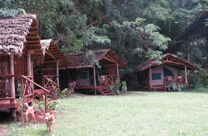 Simbamwenni Lodge and Camping photo 2