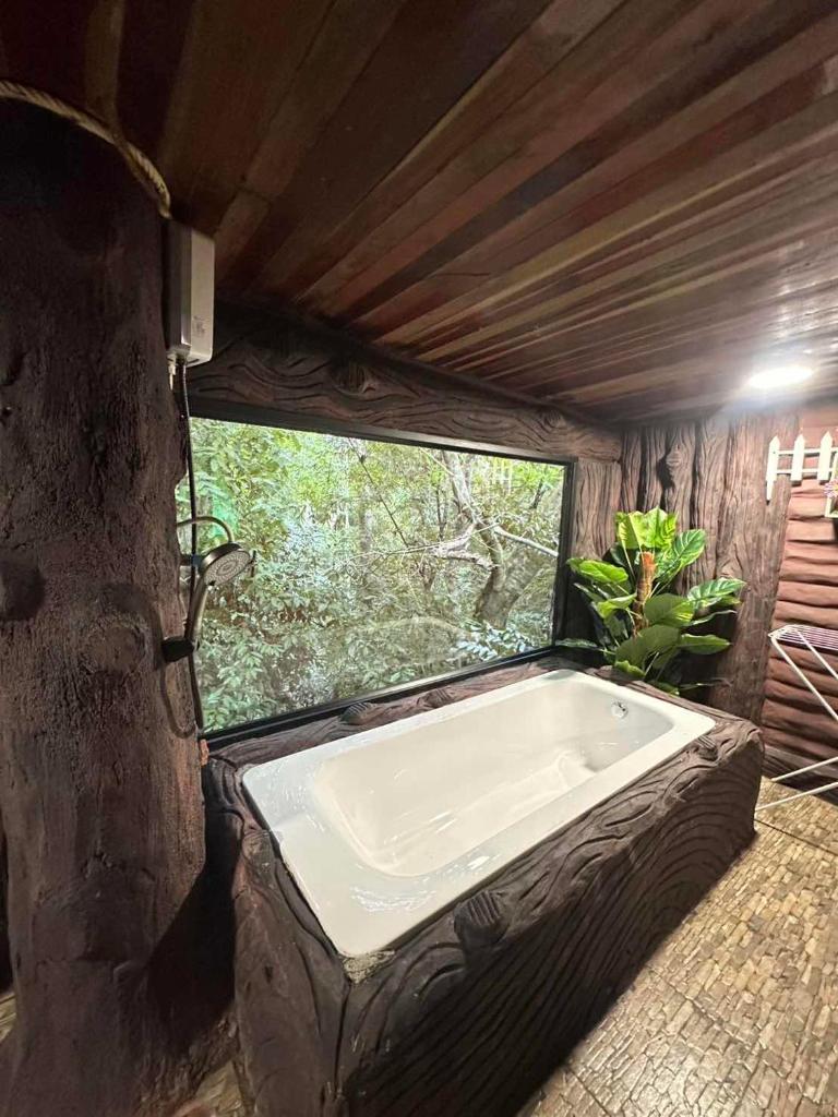 Khao Sok Tree House - Tap to explore photos
