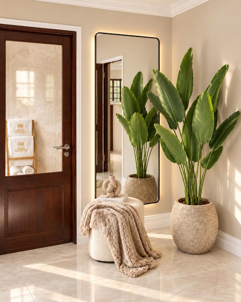 Rooms of Mood Wellness Resort