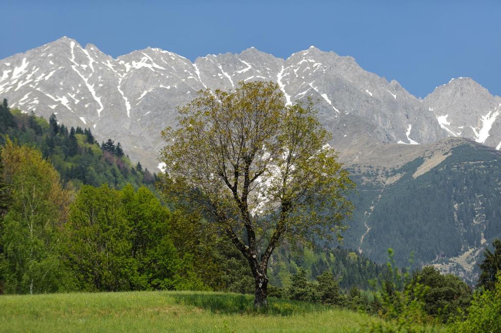 Студио (Номер-студио), Kasperhof Appartements Innsbruck Top 1 - 5