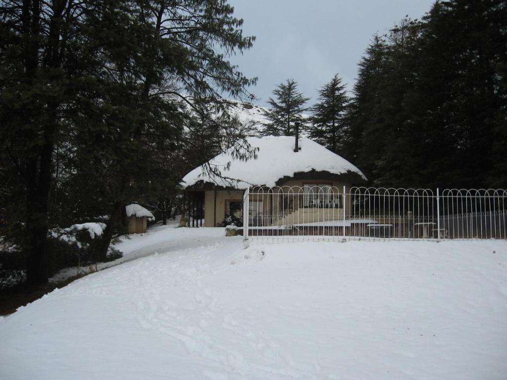 Lairds Lodge photo 3