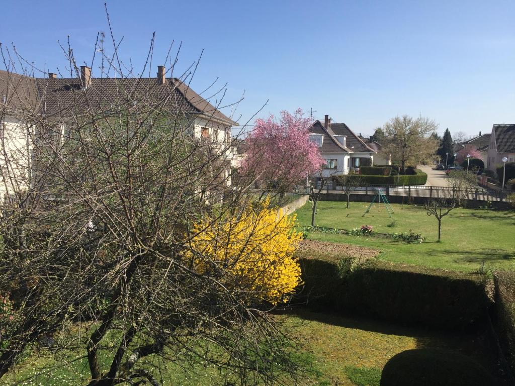 Appartement Orana photo 2