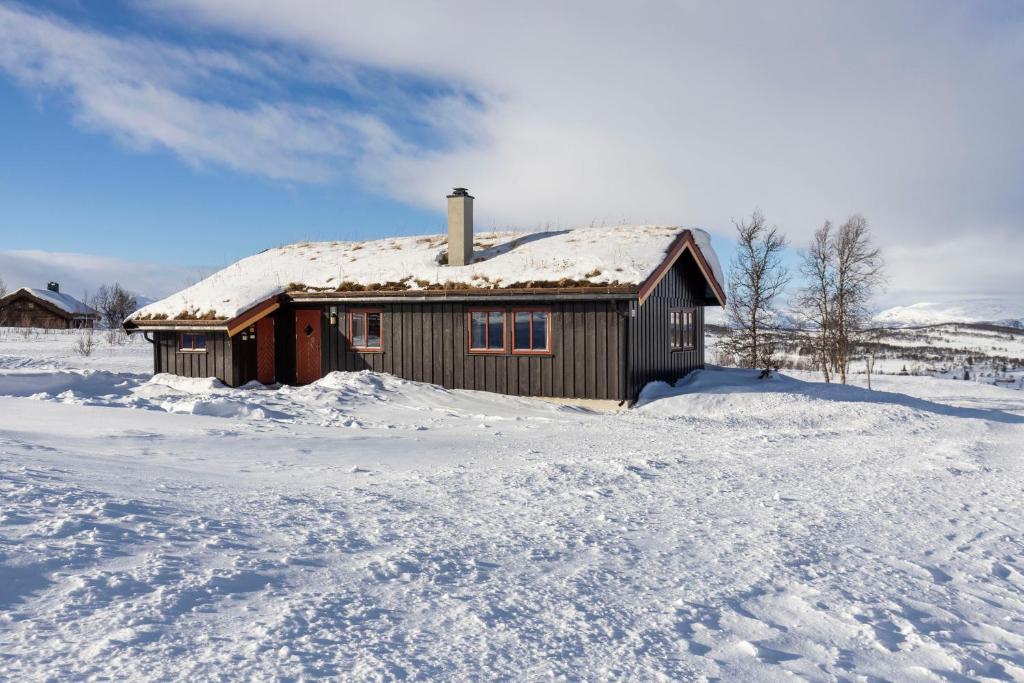 Rauland Feriesenter, Hol