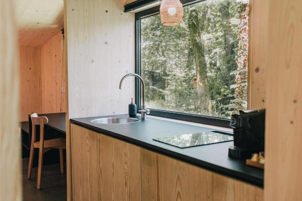 Buitenplaats Petersburg Room Type - Studio with Terrace