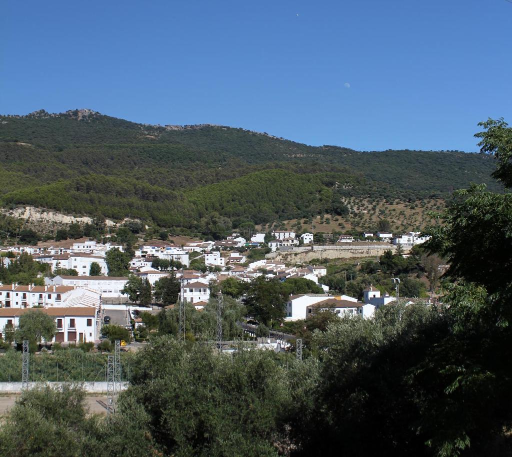 Casa Gil - La Vega photo 4