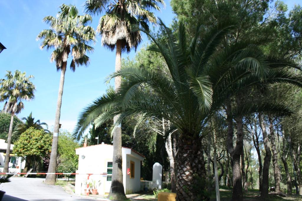 Bungalows y Glamping Medina Sidonia photo 2