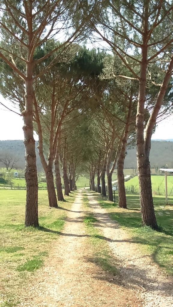 Agriturismo Podere Borgognano photo 4