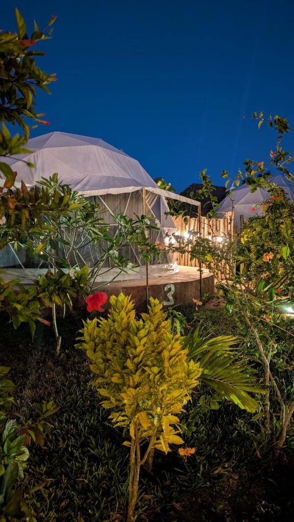 Paradise city Room Type - Double Room with Sea View