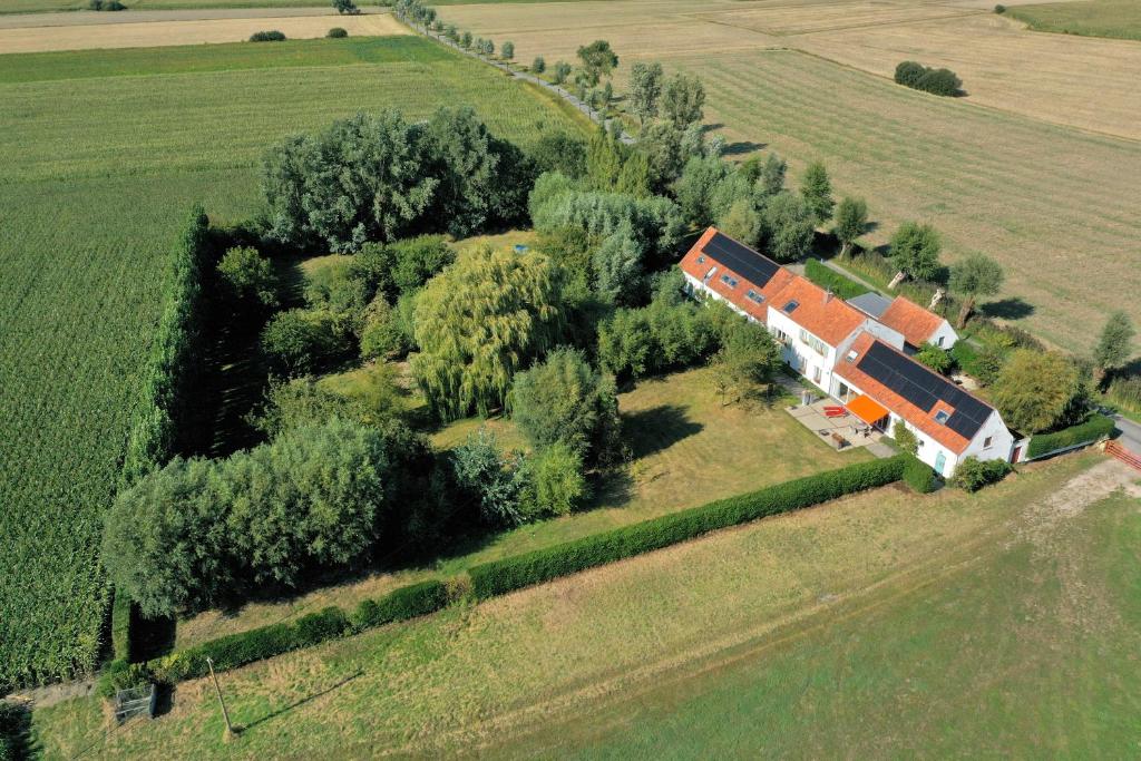 Guesthouse Polderlicht Room Type - Double or Twin Room with Garden View Guesthouse Polderlicht Room Type - Double or Twin Room with Garden View