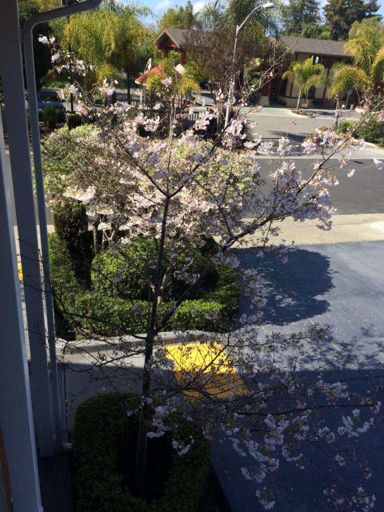 Oak Motel photo 1