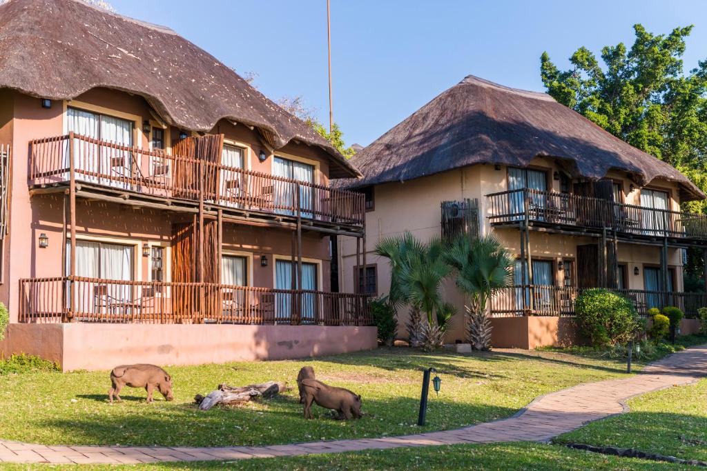 Chobe Marina Lodge photo 4