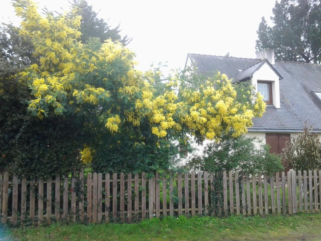 Jervl photo 2