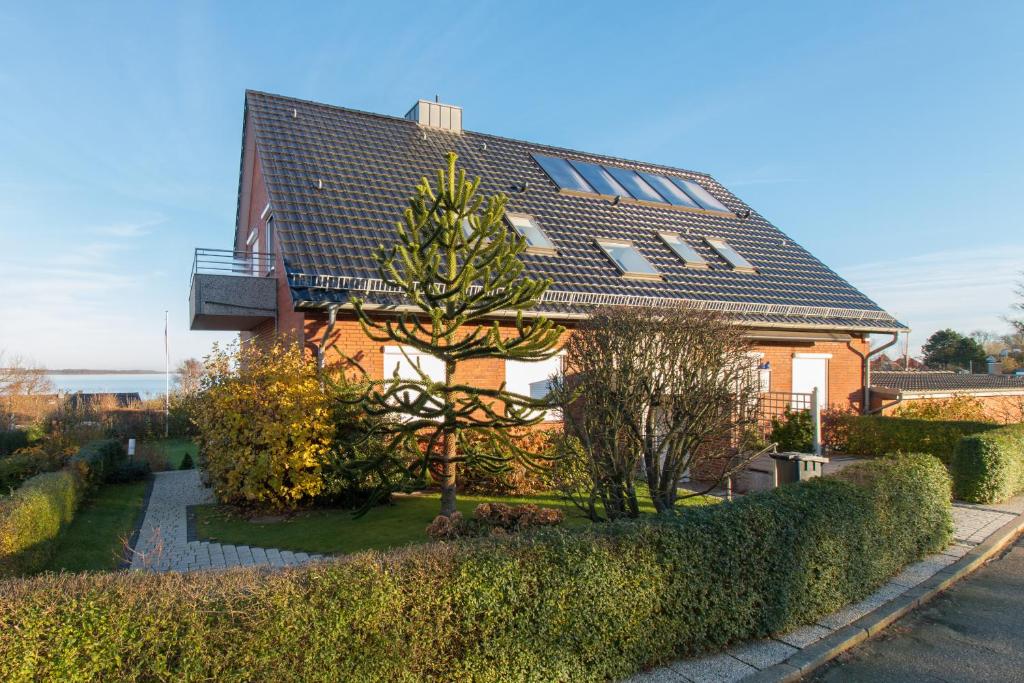 Ostsehbutzen photo 2
