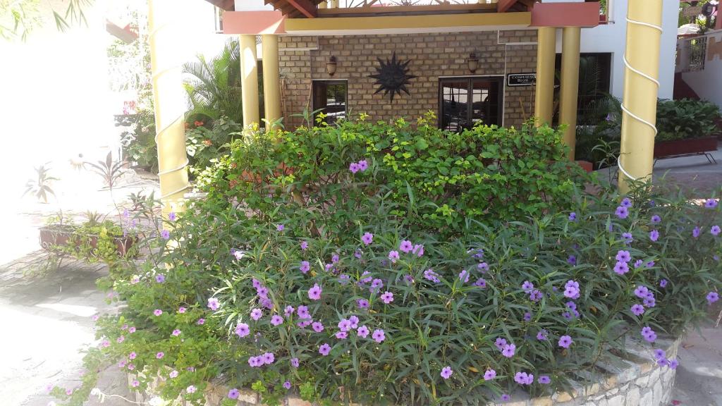 Habitation Hatt Hotel photo 4
