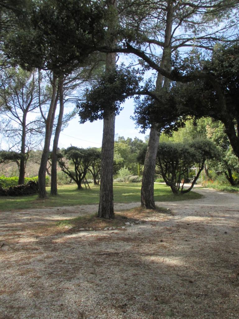 L'Hymette photo 2