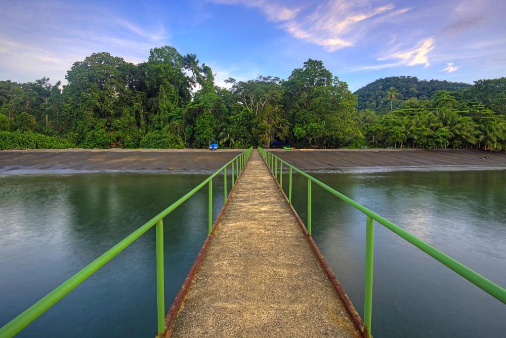 Playa Nicuesa Rainforest Eco Sanctuary photo 4