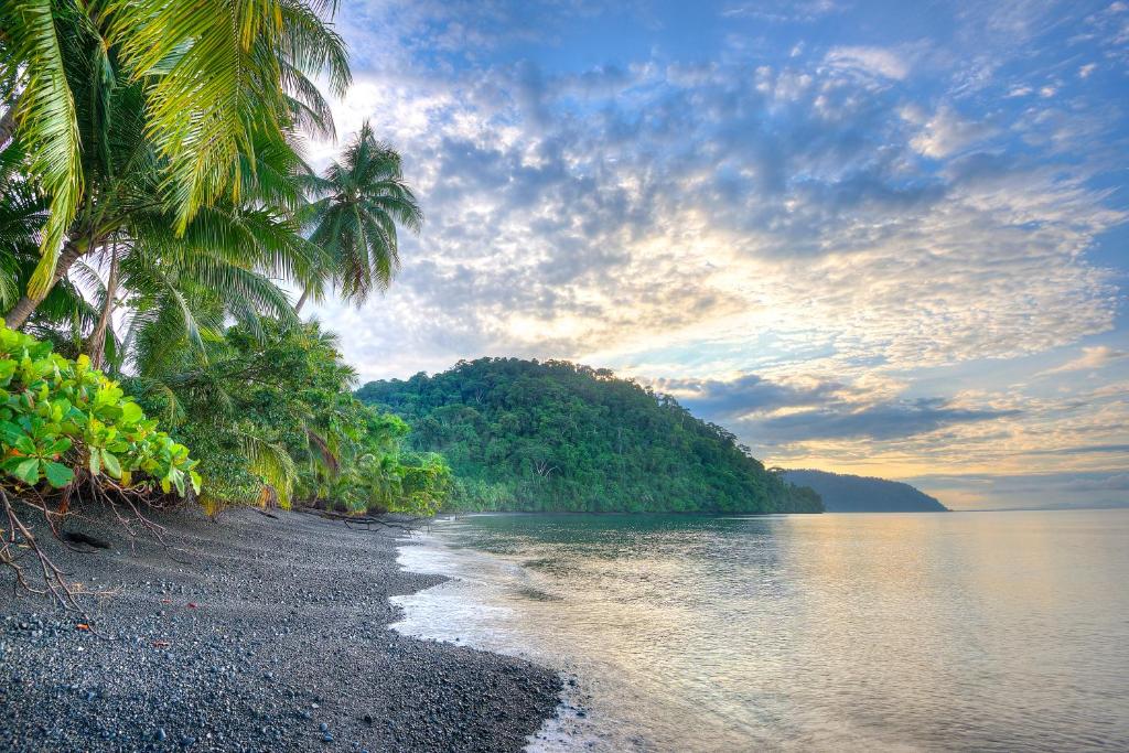 Playa Nicuesa Rainforest Eco Sanctuary photo 2