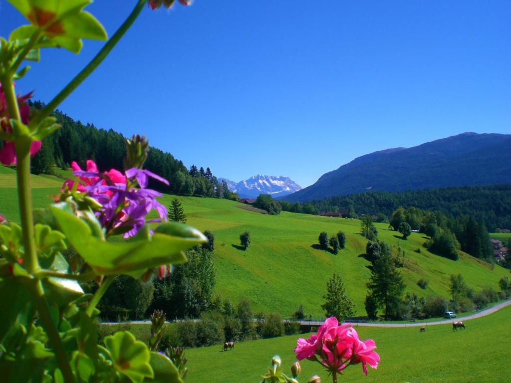 Alpegger photo 4